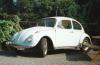 Te koop: VW Kever 1966
